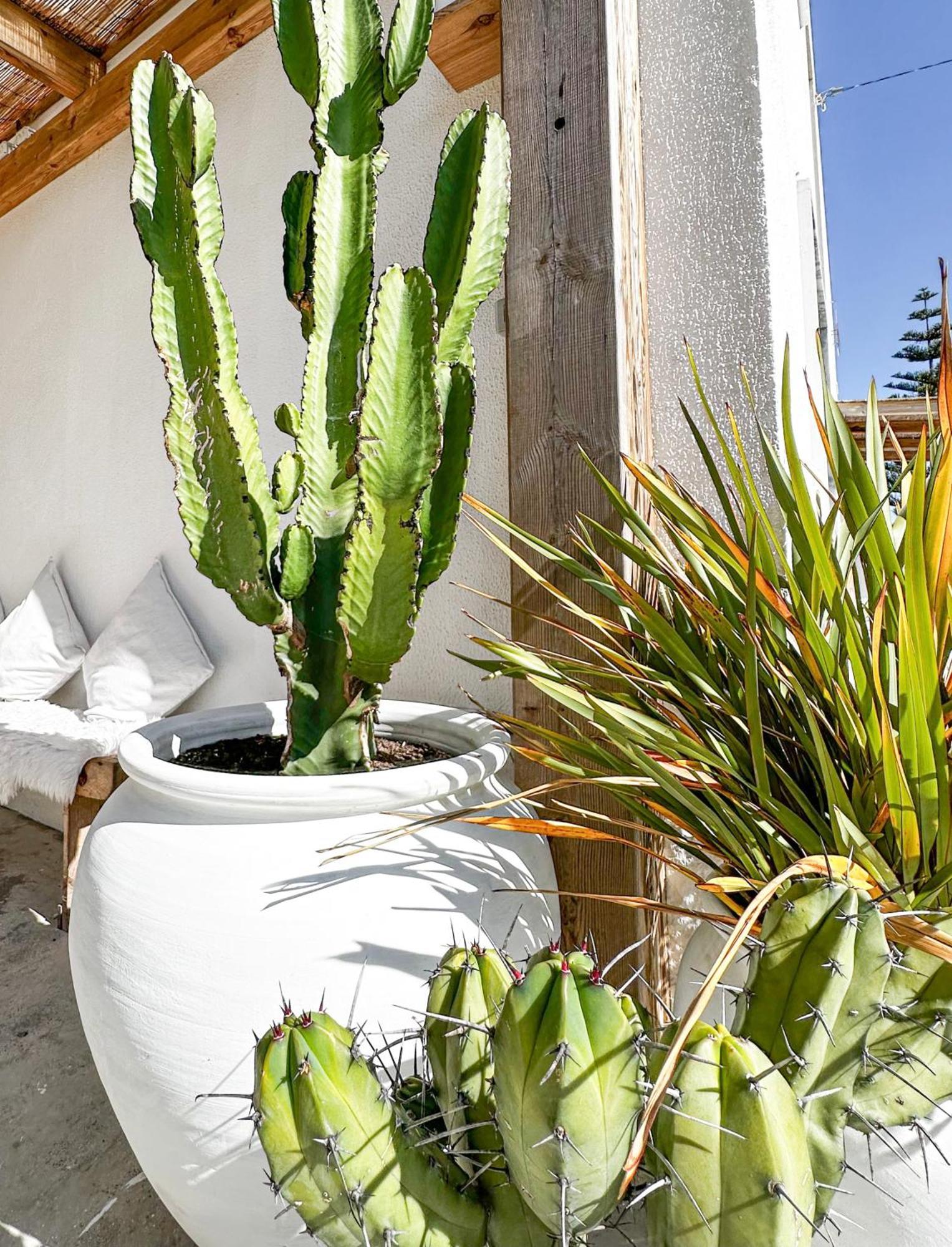 Ocean House - Ribeira D'Ilhas Ericeira Hostel Kültér fotó